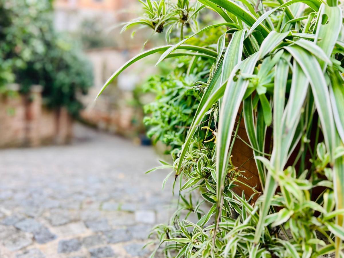 Borgo Monteverde In Appartamento
